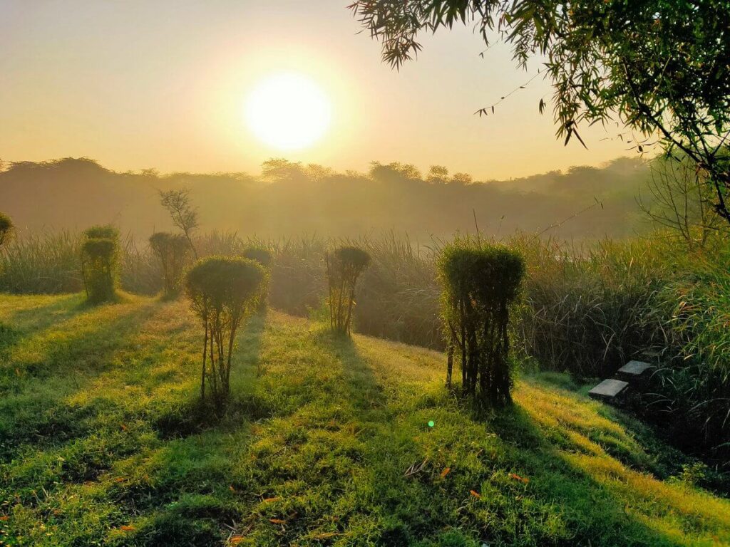 things to do places to visit in saket delhi