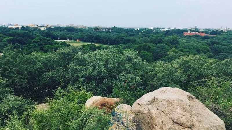 Parthasarathy Rocks, JNU